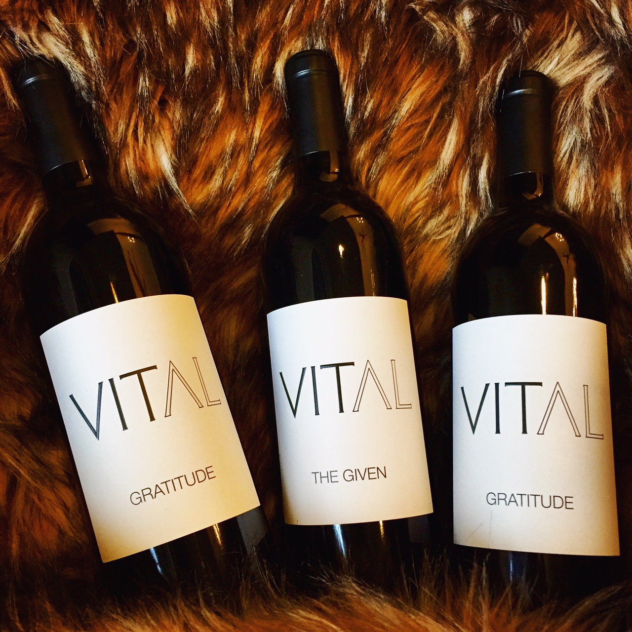 Vital Wine - Vital 12