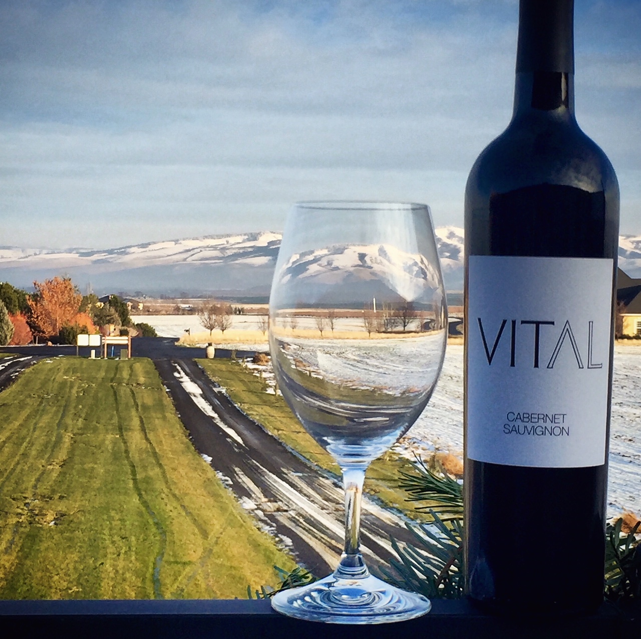 Vital Wine - Vital 6 Club